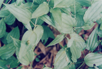 ��(du��)�~�ٲ�